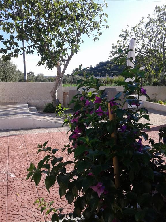 ויאסטה Il Giunco B&B מראה חיצוני תמונה